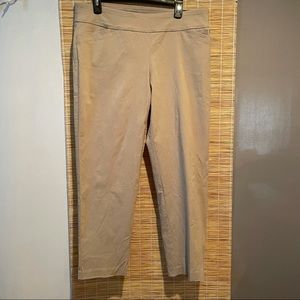 NEW Terra & Sky Dress Pants